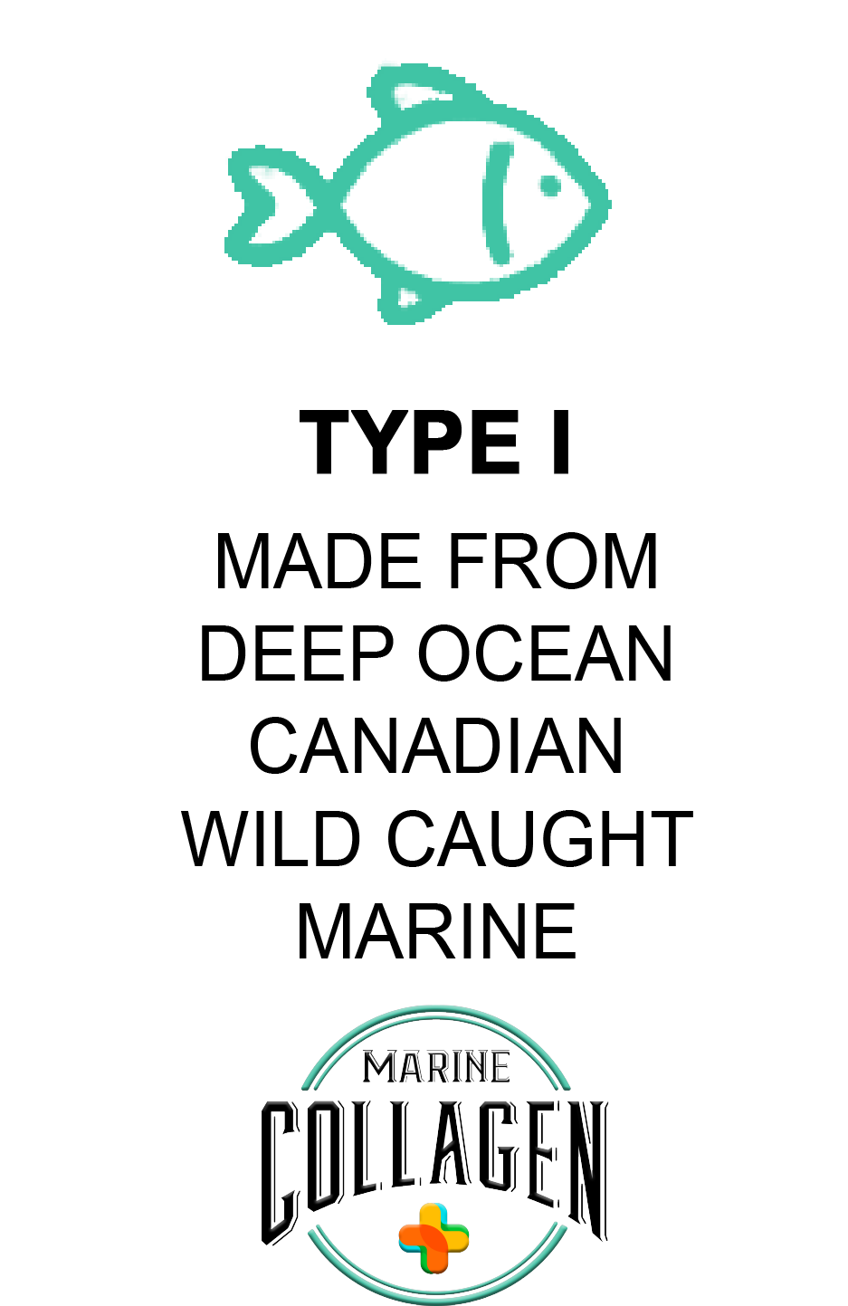 Pure Premium Hydrolysed Halal Canadian White Fish Marine Collagen Protein Peptides Powder TYPE I - 400g -Pure Black Seed - Pure Vitamin C -Pure Glutathione - BeYouty Collagen -Halal Collagen - Halal Supplements UK - Shop Now - Discover Our Range - Unflavoured