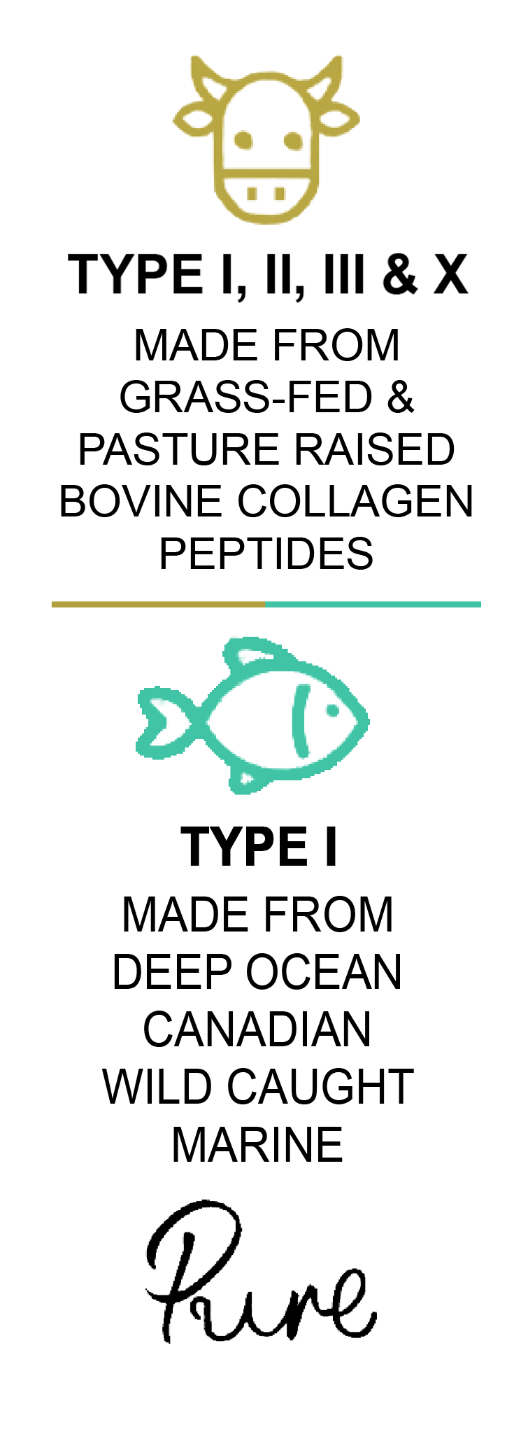 Text detailing collagen types and sources on a white background. BeYouty Collagen Pure Hydrolysed Grass-Fed Unflavoured Beef Bovine  Collagen Peptides Powder UK. Canadian Wild Caught White Fish Marine Collagen Hydrolysed Peptides Powder. Made in the UK. Halal Collagen 500g. Multi Collagen 500g. Pure Multi Collagen. Pure Bovine & Marine Collagen Peptides Powder