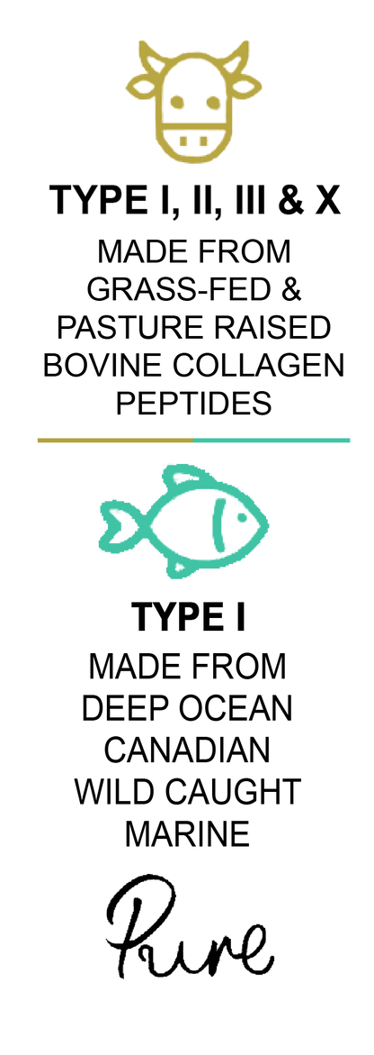 Text detailing collagen types and sources on a white background. BeYouty Collagen Pure Hydrolysed Grass-Fed Unflavoured Beef Bovine  Collagen Peptides Powder UK. Canadian Wild Caught White Fish Marine Collagen Hydrolysed Peptides Powder. Made in the UK. Halal Collagen 500g. Multi Collagen 500g. Pure Multi Collagen. Pure Bovine & Marine Collagen Peptides Powder