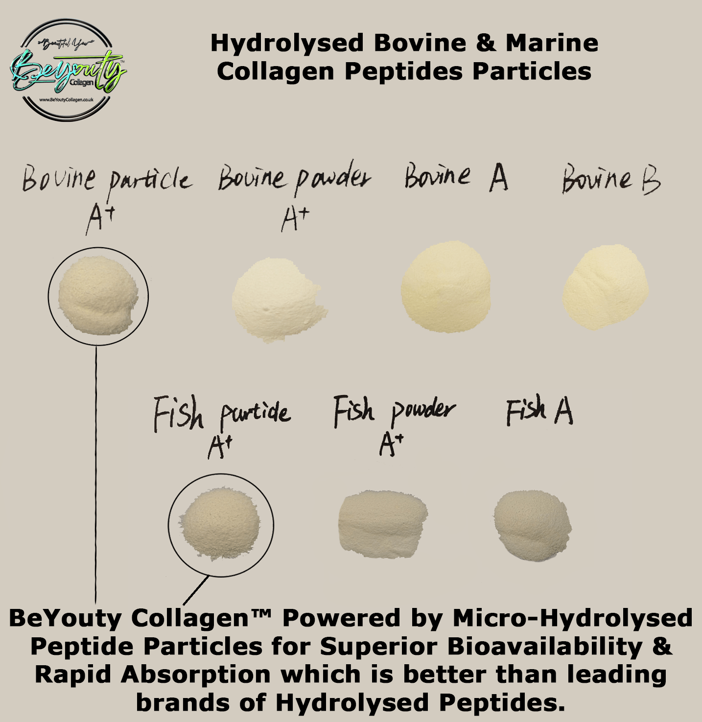 Diagram of hydrolysed bovine and marine collagen peptides particles with labels and branding. BeYouty Collagen Peptides. Unflavoured Halal Collagen, Halal Collagen Supplements, Hydrolysed Bovine Collagen Peptides Powder, Hydrolysed Marine Collagen Peptides Powder,
Hydrolysed Multi Bovine & Marine Collagen Peptides Powder, Hydrolysed Collagen Peptides Powder UK, Buy Halal Collagen UK, Pure Hydrolysed Collagen "Halal collagen powder UK – BeYouty Collagen"