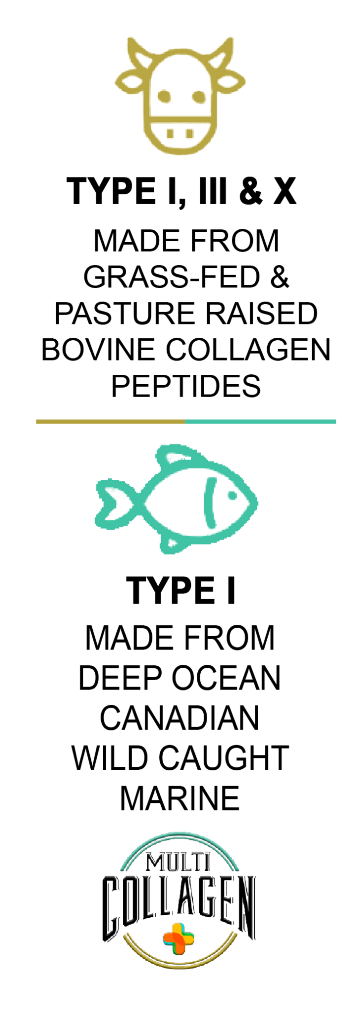 Hydrolysed Bovine & Marine Multi Collagen Peptides + Antioxidants TYPE I, III & X - 400g - BeYouty Collagen. BeYouty Collagen. BeYouty Collagen Peptides. Unflavoured Halal Collagen, Halal Collagen Supplements, Hydrolysed Bovine Collagen Peptides Powder, Hydrolysed Marine Collagen Peptides Powder,
Hydrolysed Multi Bovine & Marine Collagen Peptides Powder, Hydrolysed Collagen Peptides Powder UK, Buy Halal Collagen UK, Pure Hydrolysed Collagen 