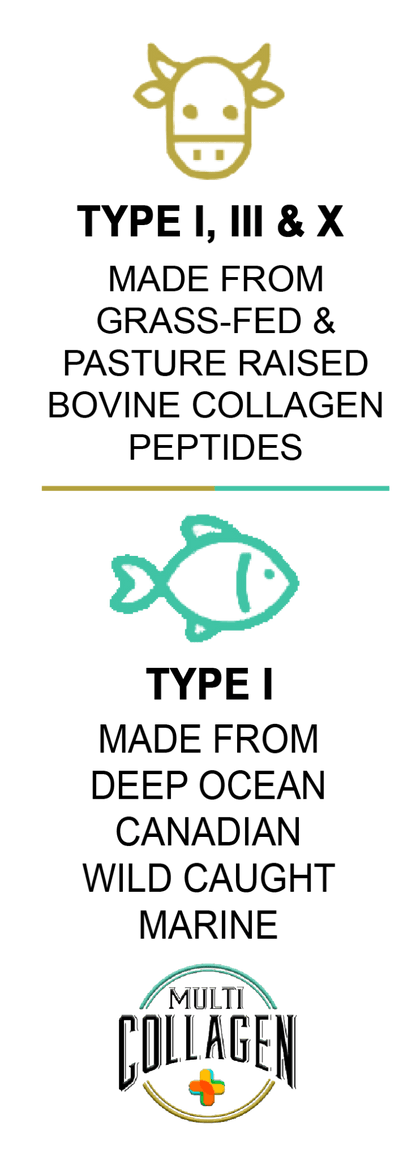 Hydrolysed Bovine & Marine Multi Collagen Peptides + Antioxidants TYPE I, III & X - 400g - BeYouty Collagen. BeYouty Collagen. BeYouty Collagen Peptides. Unflavoured Halal Collagen, Halal Collagen Supplements, Hydrolysed Bovine Collagen Peptides Powder, Hydrolysed Marine Collagen Peptides Powder,
Hydrolysed Multi Bovine & Marine Collagen Peptides Powder, Hydrolysed Collagen Peptides Powder UK, Buy Halal Collagen UK, Pure Hydrolysed Collagen 