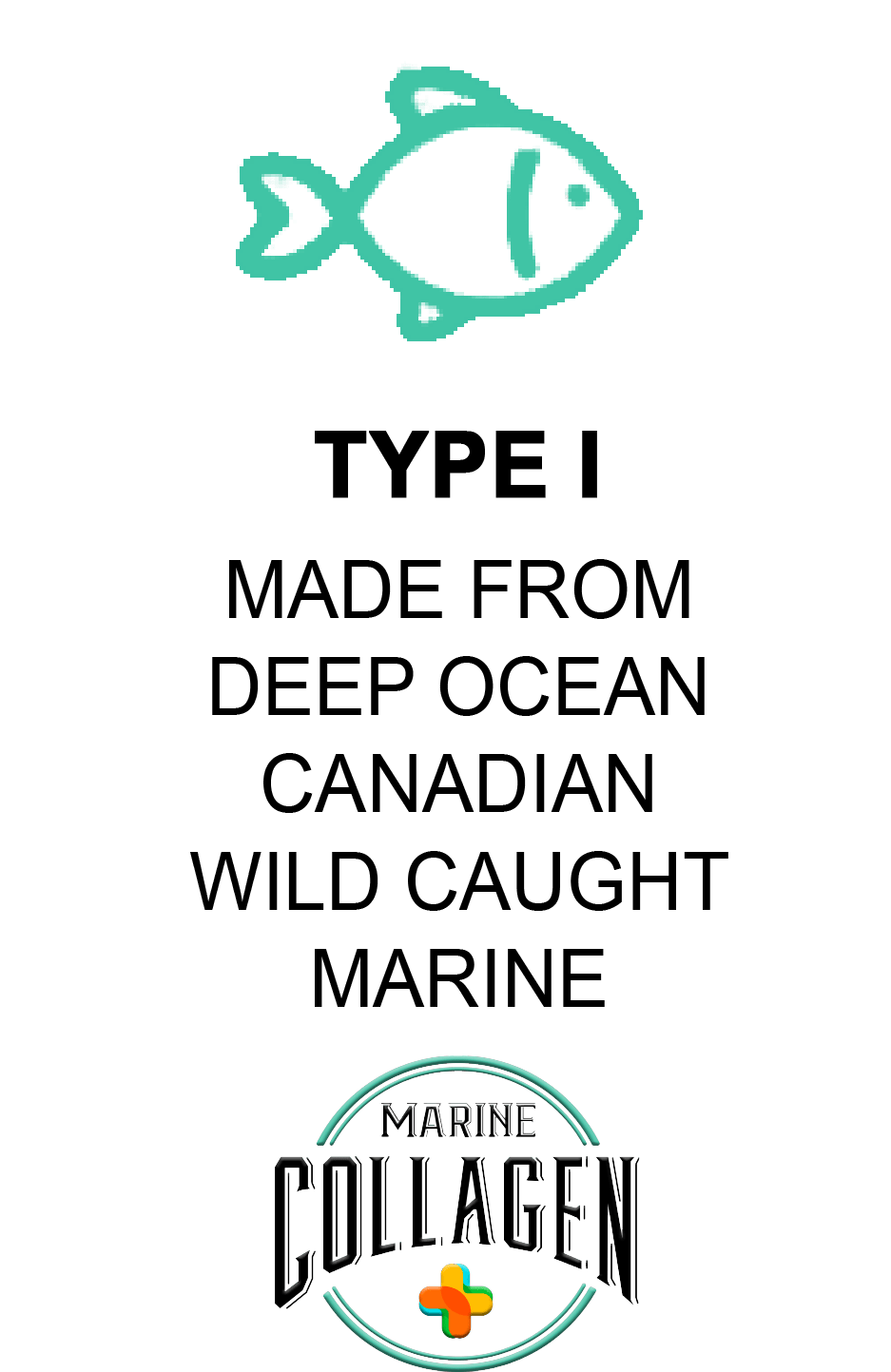 Hydrolysed Marine Collagen Peptides + Antioxidants TYPE I - 400g - BeYouty Collagen.  BeYouty Collagen. BeYouty Collagen. BeYouty Collagen Peptides. Unflavoured Halal Collagen, Halal Collagen Supplements, Hydrolysed Bovine Collagen Peptides Powder, Hydrolysed Marine Collagen Peptides Powder,
Hydrolysed Multi Bovine & Marine Collagen Peptides Powder, Hydrolysed Collagen Peptides Powder UK, Buy Halal Collagen UK, Pure Hydrolysed Collagen 