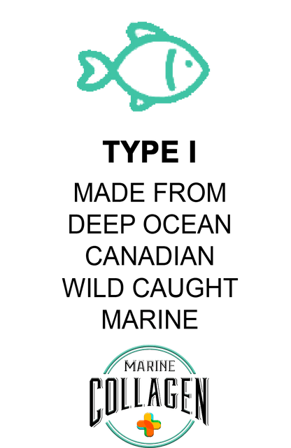 Hydrolysed Marine Collagen Peptides + Antioxidants TYPE I - 400g - BeYouty Collagen.  BeYouty Collagen. BeYouty Collagen. BeYouty Collagen Peptides. Unflavoured Halal Collagen, Halal Collagen Supplements, Hydrolysed Bovine Collagen Peptides Powder, Hydrolysed Marine Collagen Peptides Powder,
Hydrolysed Multi Bovine & Marine Collagen Peptides Powder, Hydrolysed Collagen Peptides Powder UK, Buy Halal Collagen UK, Pure Hydrolysed Collagen 