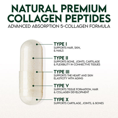 Hydrolysed Bovine & Marine Multi Collagen TYPE I, II, III, V & X 100 Veg Capsules