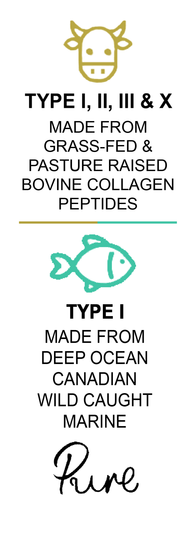 Pure Bovine & Marine Multi Collagen Hydrolysed Peptides TYPE I, II, III & X - 500g  - BeYouty Collagen. BeYouty Collagen. BeYouty Collagen Peptides. Unflavoured Halal Collagen, Halal Collagen Supplements, Hydrolysed Bovine Collagen Peptides Powder, Hydrolysed Marine Collagen Peptides Powder,
Hydrolysed Multi Bovine & Marine Collagen Peptides Powder, Hydrolysed Collagen Peptides Powder UK, Buy Halal Collagen UK, Pure Hydrolysed Collagen "Halal collagen powder UK – BeYouty Collagen"