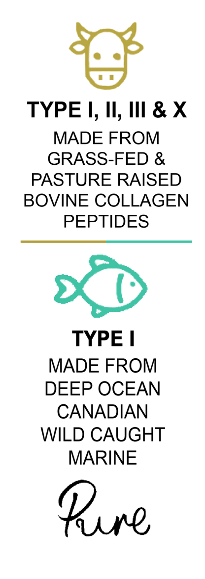 Pure Bovine & Marine Multi Collagen Hydrolysed Peptides TYPE I, II, III & X - 500g  - BeYouty Collagen. BeYouty Collagen. BeYouty Collagen Peptides. Unflavoured Halal Collagen, Halal Collagen Supplements, Hydrolysed Bovine Collagen Peptides Powder, Hydrolysed Marine Collagen Peptides Powder,
Hydrolysed Multi Bovine & Marine Collagen Peptides Powder, Hydrolysed Collagen Peptides Powder UK, Buy Halal Collagen UK, Pure Hydrolysed Collagen "Halal collagen powder UK – BeYouty Collagen"