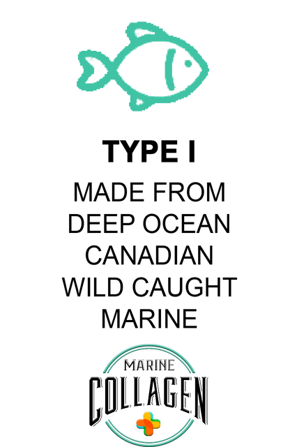 Pure Premium Hydrolysed Halal Canadian White Fish Marine Collagen Protein Peptides Powder TYPE I - 400g -Pure Black Seed - Pure Vitamin C -Pure Glutathione - BeYouty Collagen -Halal Collagen - Halal Supplements UK - Shop Now - Discover Our Range - Unflavoured