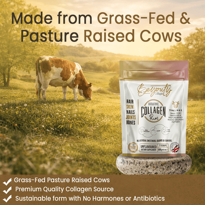 Pure Hydrolysed Bovine Collagen Peptides TYPE I, III & X - 3kg (x6 Pouch) - BeYouty Collagen™