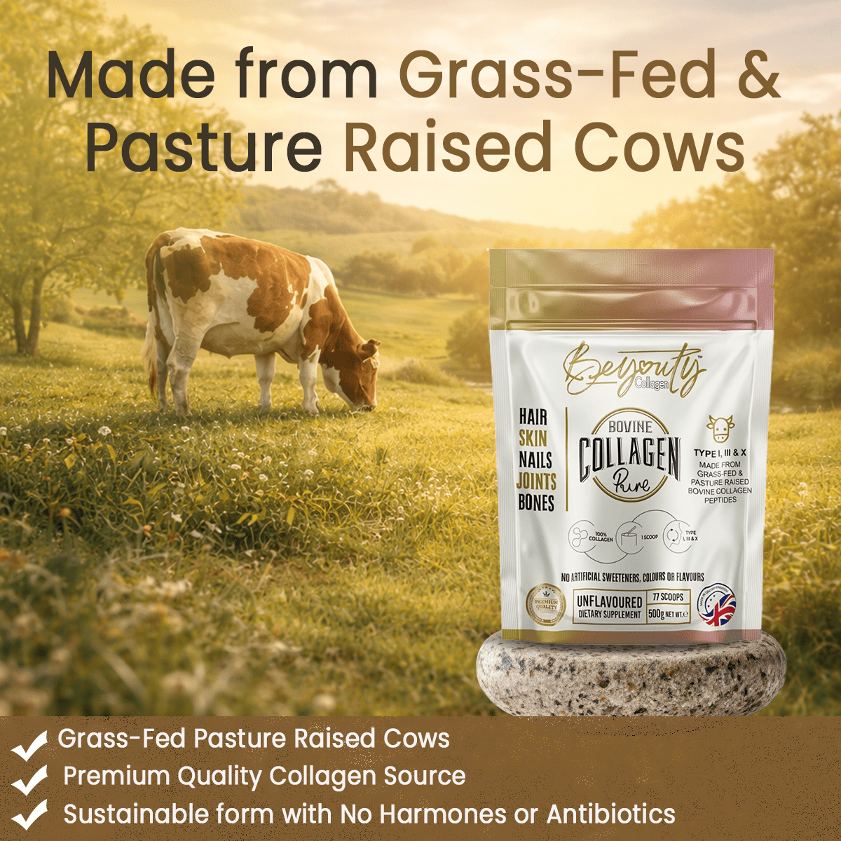 Pure Hydrolysed Bovine Collagen Peptides TYPE I, III & X - 500g - BeYouty Collagen™