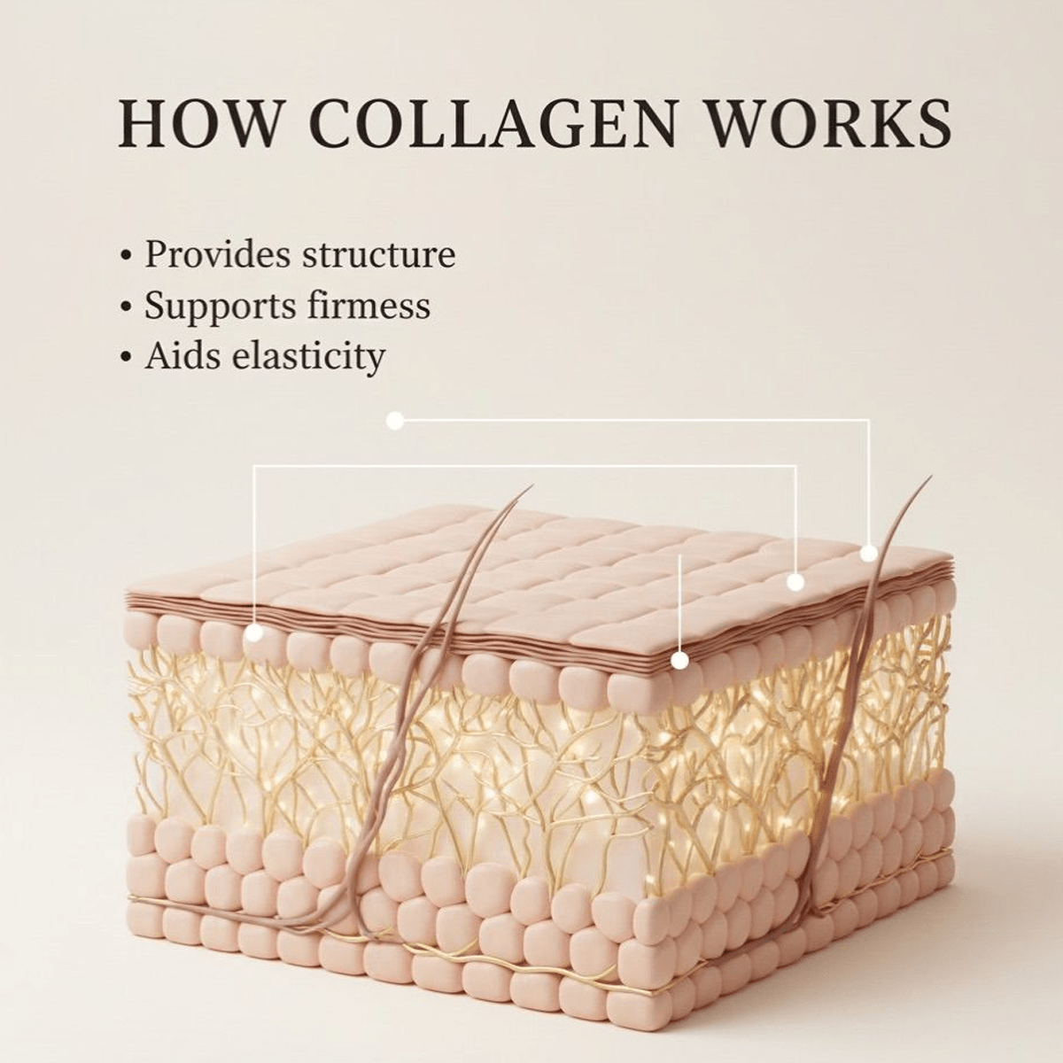 Pure Premium Marine Collagen Hydrolysed Peptides TYPE I - 500g - BeYouty Collagen™